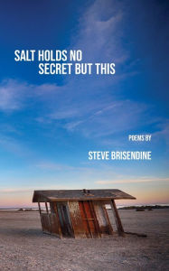 Title: Salt Holds No Secrets But This, Author: Steve Brisendine