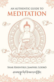 Title: An Authentic Guide to Meditation, Author: Shar Khentrul Jamphel Lodrö