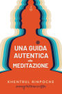 Una guida autentica alla meditazione