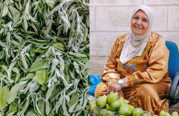 Bethlehem: A Celebration of Palestinian Food