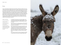 Alternative view 7 of French Kitchen Lessons: Recipes & Stories from Normandy's Rabbit Hill Farm