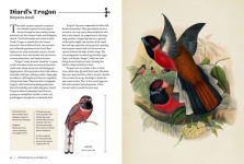 Vintage Birds: A Guidebook and Matching Game by Roger J
