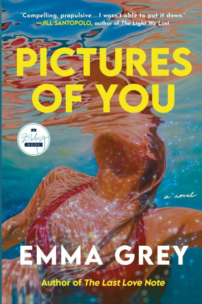 Pictures of You: A Novel