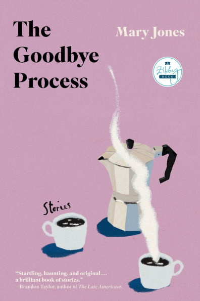 The Goodbye Process: Stories