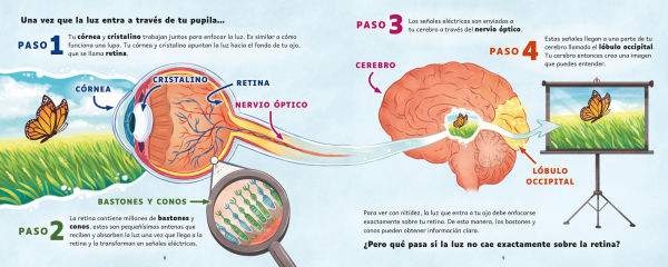 ¿Cómo ves el mundo?