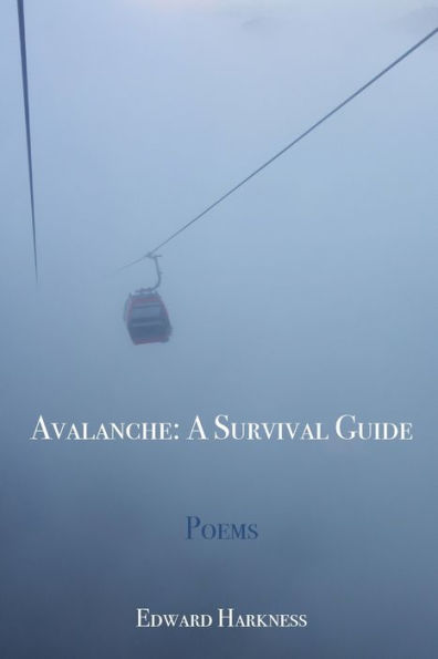 AVALANCHE: A SURVIVAL GUIDE