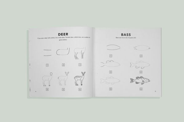 Mushrooms & Woodland Creatures: How to Draw Books for Kids with Woodland Creatures, Bugs, Plants, and Fungi