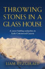 Throwing Stones in a Glass House: A career battling avalanches in Little Cottonwood Canyon