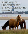 Wild Horses of Shackleford Banks
