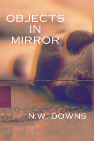 Download a free audiobook Objects in Mirror (English literature) 9781959118978 by N W Downs FB2