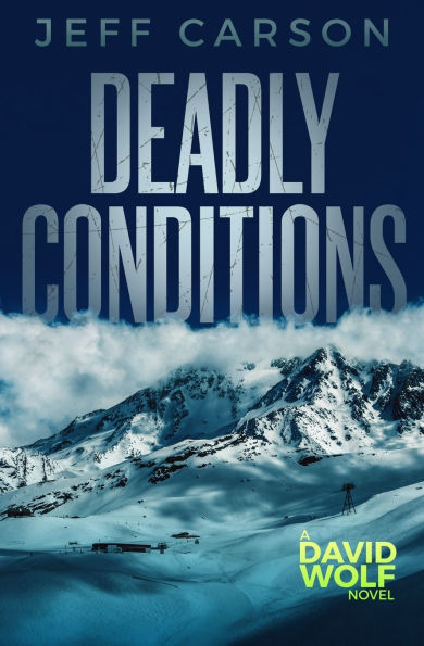 Deadly Conditions: David Wolf Mystery Thriller Series