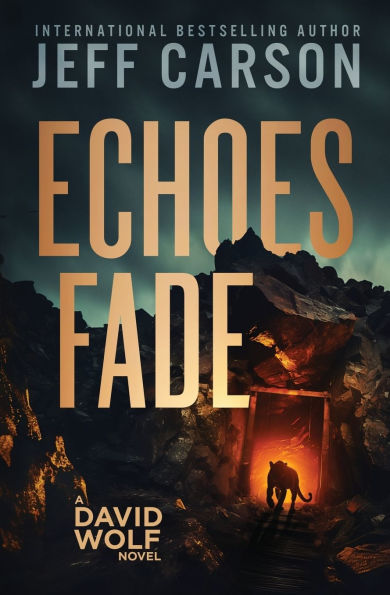 Echoes Fade: David Wolf Mystery Thriller Series