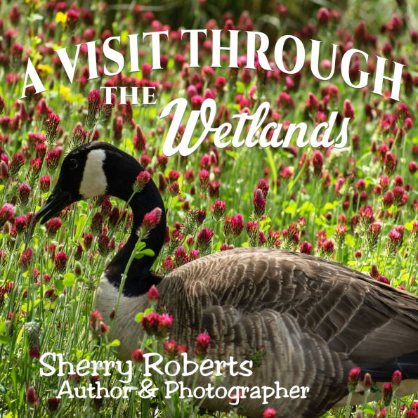 A Visit Through the Wetlands