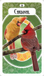 Alternative view 3 of The Avian Oracle: (45 Full-Color Cards and 140-Page Guidebook)