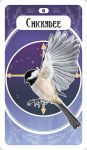 Alternative view 4 of The Avian Oracle: (45 Full-Color Cards and 140-Page Guidebook)
