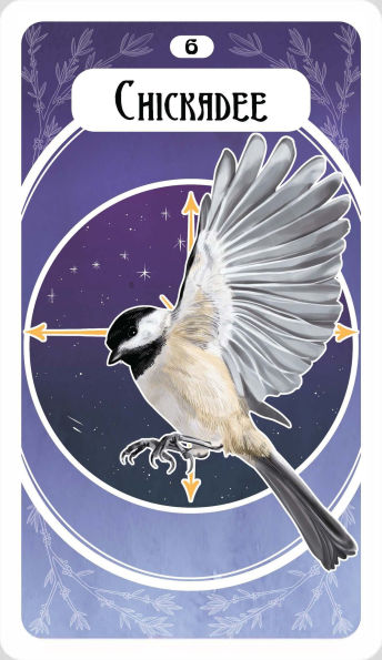 The Avian Oracle: (45 Full-Color Cards and 140-Page Guidebook)