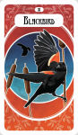 Alternative view 5 of The Avian Oracle: (45 Full-Color Cards and 140-Page Guidebook)