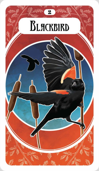 The Avian Oracle: (45 Full-Color Cards and 140-Page Guidebook)