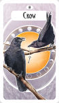 Alternative view 6 of The Avian Oracle: (45 Full-Color Cards and 140-Page Guidebook)