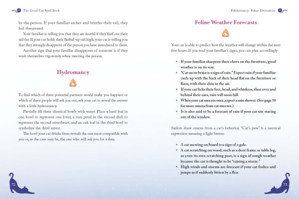 The Good Cat Spell Book