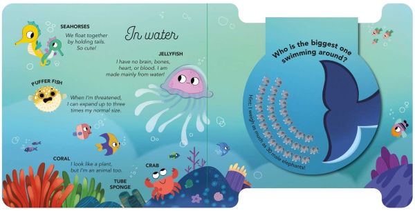 Flip Flap Facts - Animals