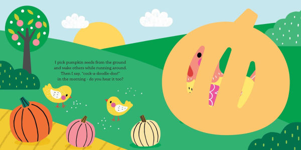 Surprise! I See Farm Animals