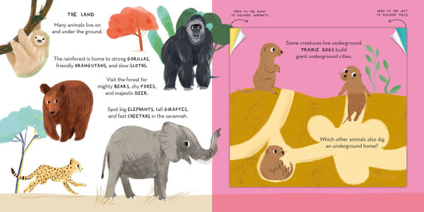 Magic Folding Flaps - Animals