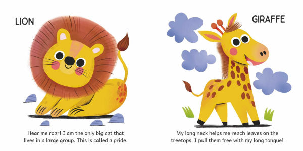 Magnetic Level-Up - Animals