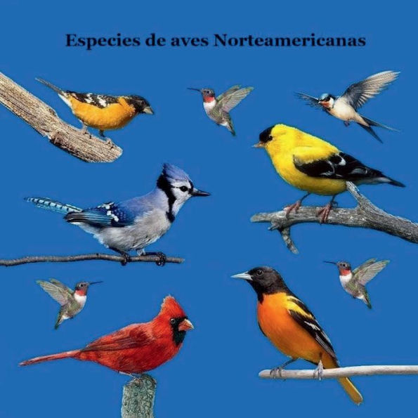 Libro para Niï¿½os de Especies de Aves de Amï¿½rica Del Norte: Imï¿½genes Realistas y Hechos Interesantes y Divertidos Tapa Blanda