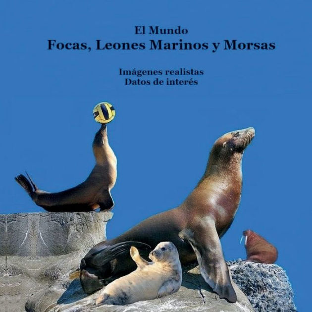 Focas Del Mundo, Leones Marinos, Morsas, Libro para Niños: Gran Manera de  Conocer a Las Focas, Leones Marinos, Morsas Del Mundo by Billy Grinslott,  Kinsey Marie, Paperback | Barnes & Noble®