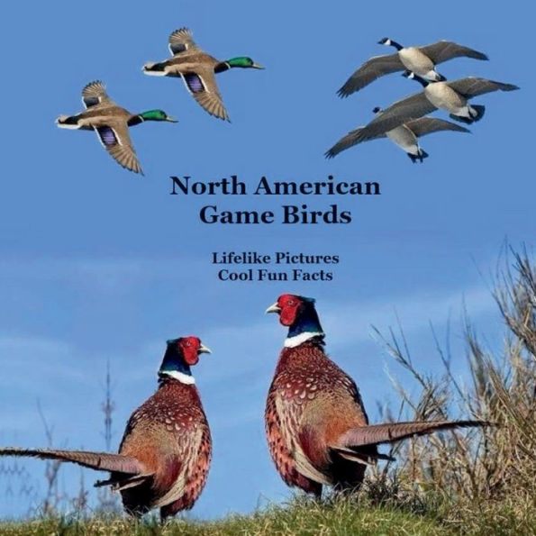 North American Game Birds Kids Book: Great Way to Meet the Game Birds ...