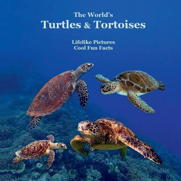 The World's Turtles and Tortoises Kids Book: Great Way for Kids to meet ...