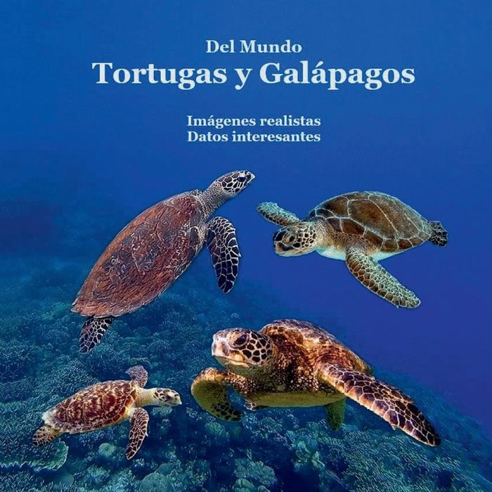 Las Tortugas Del Mundo Libro para Niï¿½os: Gran Manera para Que Los Niï¿½os Conozcan a Las Tortugas Del Mundo