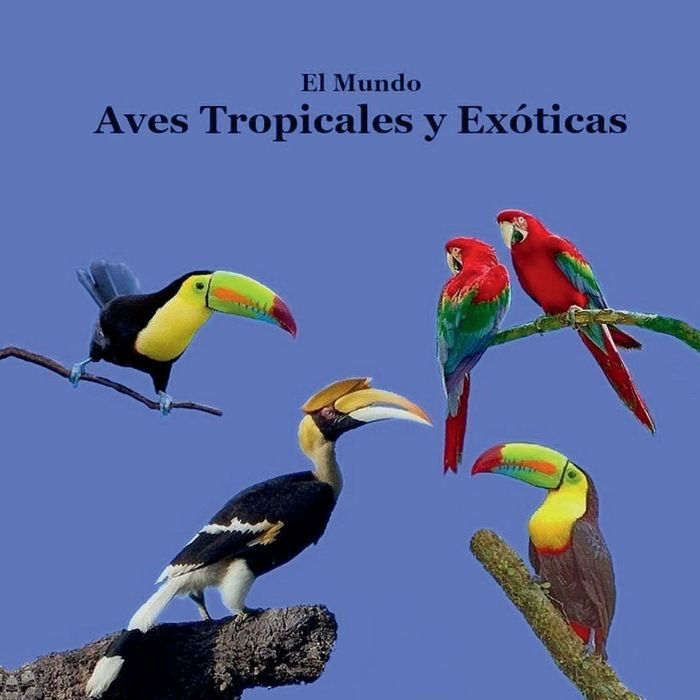 Aves Tropicales y Exï¿½ticas del Mundo libro para niï¿½os: Gran manera para que los niï¿½os conozcan las aves tropicales y exï¿½ticas del mundo