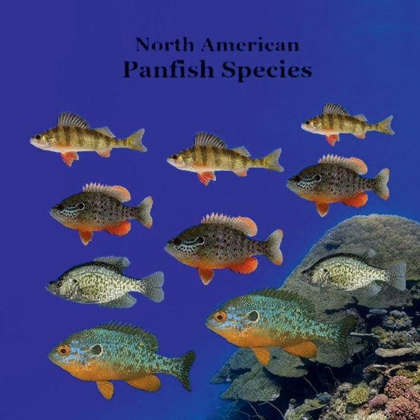 Panfish Species of North America Kids Book: Great Way for Kids to See and Learn About the Types of Panfish in America