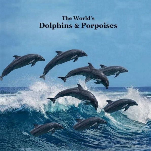 Dolphins and Porpoises of the World Kids Book: Great Way for Kids to Meet the World's Dolphins and Porpoises