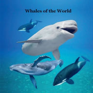 Title: Whales of the World Kids Book: Great Way for Kids to Meet the World's Whales, Author: Billy Grinslott
