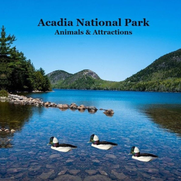 Acadia National Park Animals and Attractions Kids Book: Great Way for Kids to See the Animals and Attractions in Acadia National Park