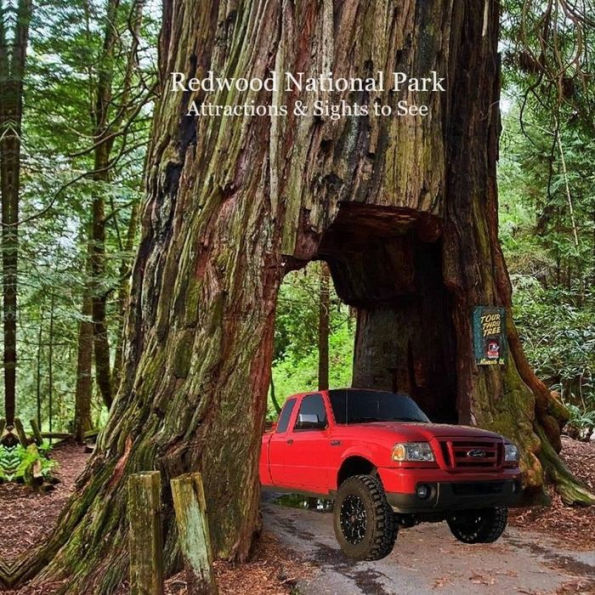 Redwood National Park Attractions and Sights to See Kids Book: Great Way for Children to See Redwood National Parks