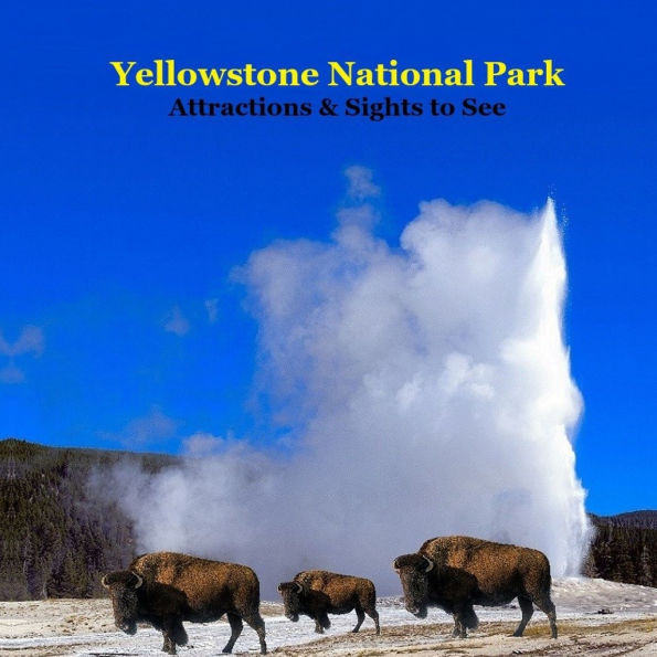 Yellowstone Park Attractions Sights to See Kids Book: Great Book for kids about Yellowstone National Park