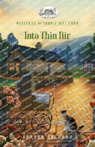 Free computer ebooks download Into Thin Air 9781961251441 (English Edition) 