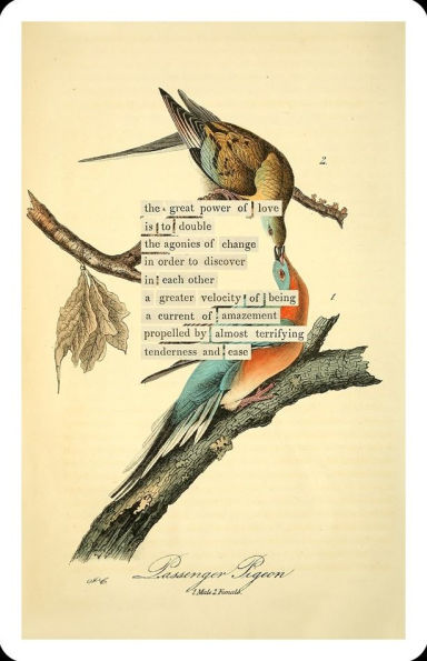 An Almanac of Birds: 100 Divinations for Uncertain Days