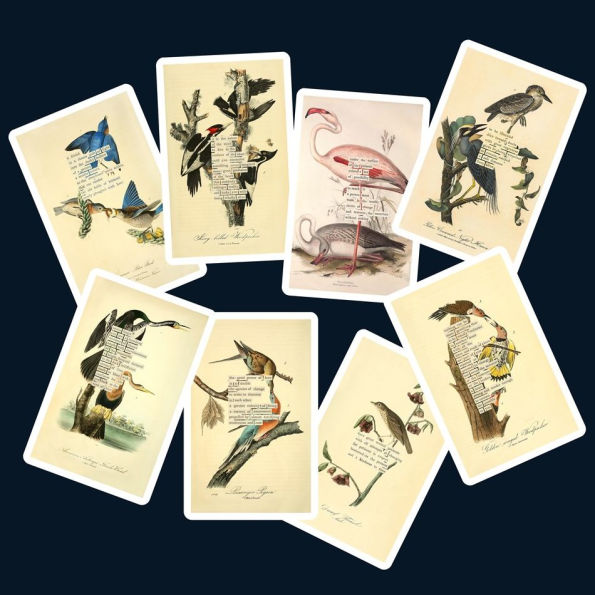 An Almanac of Birds: 100 Divinations for Uncertain Days