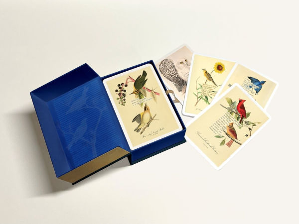 An Almanac of Birds: 100 Divinations for Uncertain Days