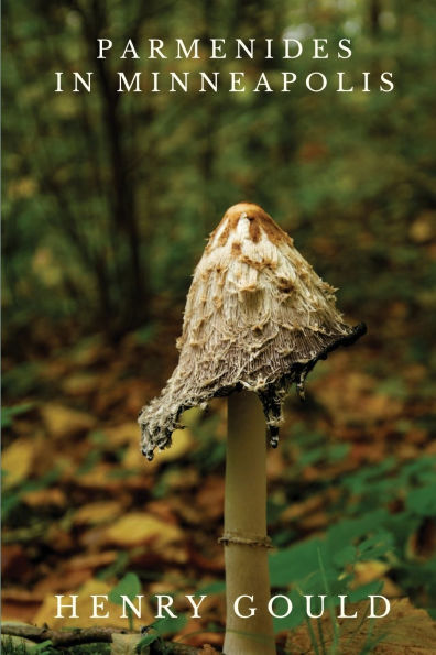 Parmenides in Minneapolis