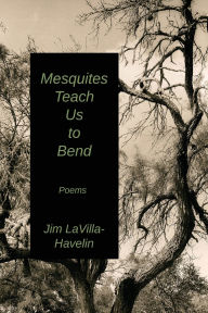 Good ebooks download Mesquites Teach Us to Bend (English literature)  by Jim Lavilla-Havelin