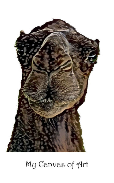 My Canvas of Art - 6x9 - Ship of the Desert: Your Personal Art Book