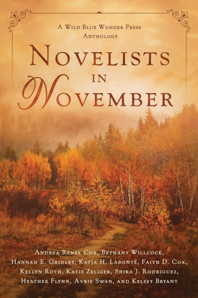 Novelists in November: a Wild Blue Wonder Press anthology