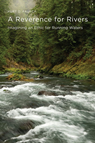 A Reverence for Rivers: Imagining an Ethic for Running Waters