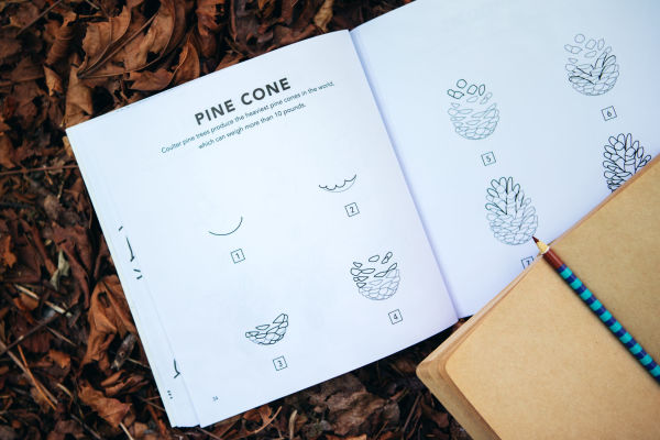 Fall Things: How to Draw Books for Kids with Pumpkins, Scarecrows, Turkeys and More